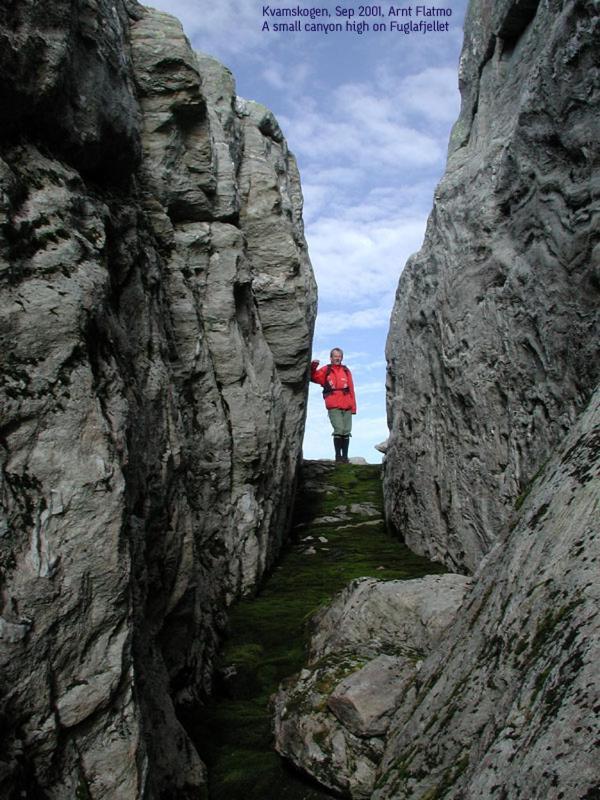 Hardanger Feriesenter Sjusete Vila Norheimsund Exterior foto
